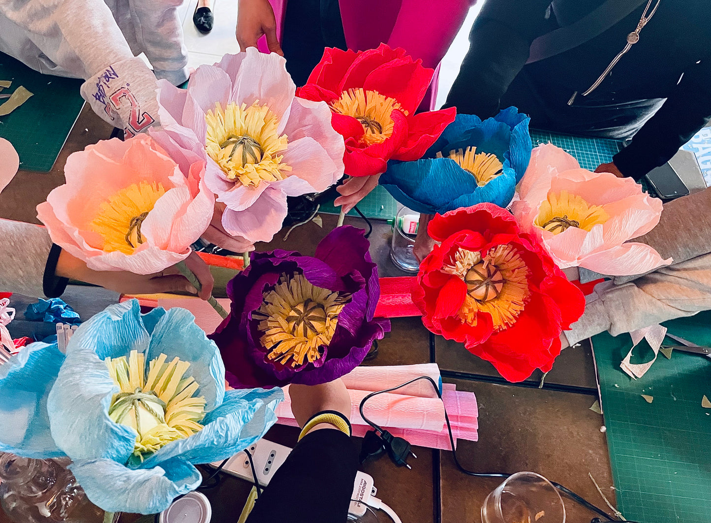 Risultato Corso Papaveri del 20 Aprile 