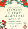 CORSO DI FOLIAGE & STELLA DI NATALE